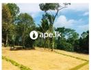 Land For Sale In Near To Kandy Road